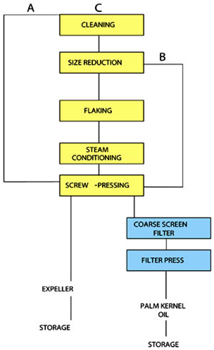 How to Start a Palm Kernel Oil Extraction Company_Palm Oil Extraction FAQ