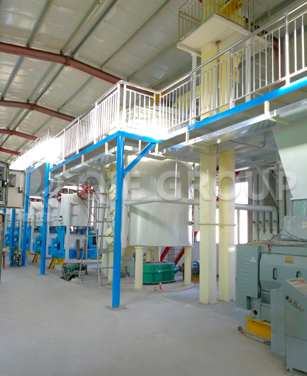 corn germ oil pressing equipment