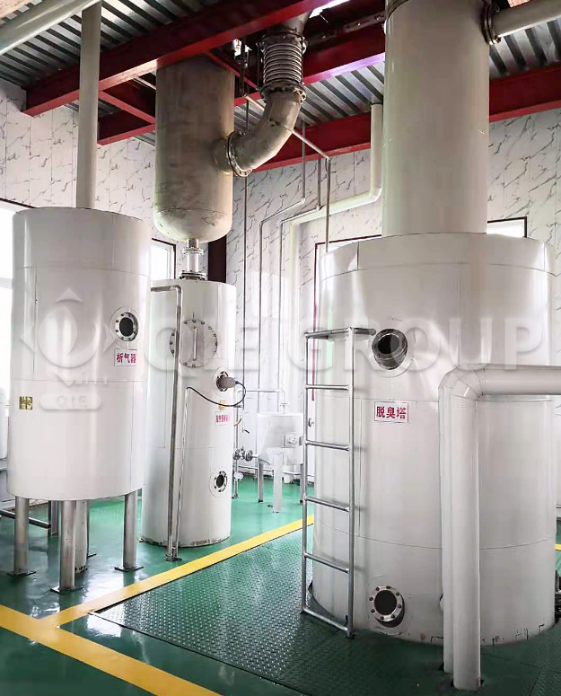 Edible oil deodorization equipment