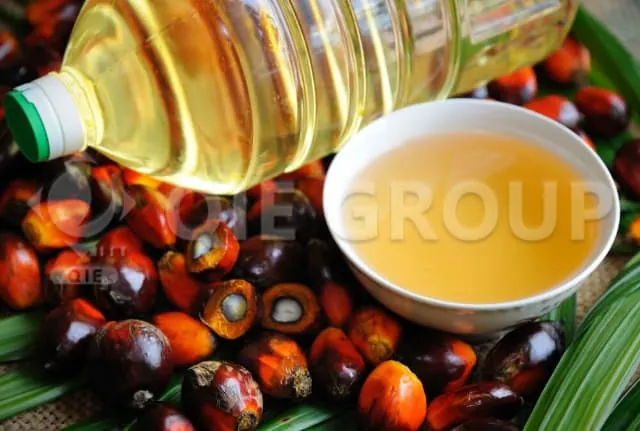 palm fruit and palm oil