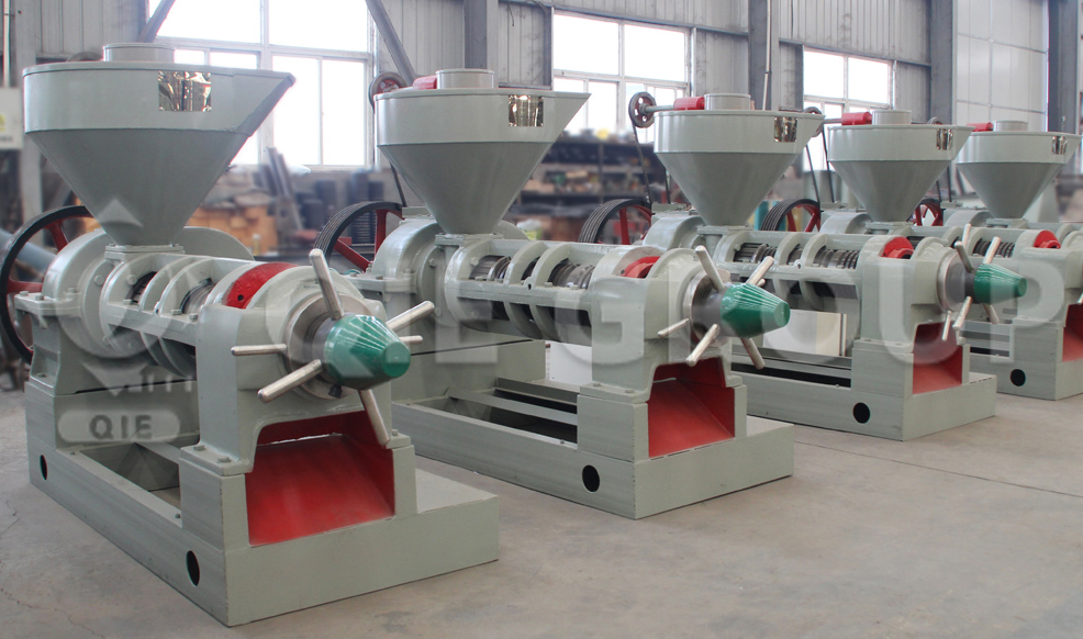 Screw oil press machine
