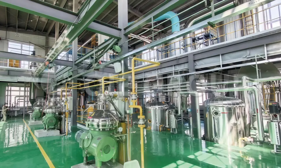 Edible oil refining workshop