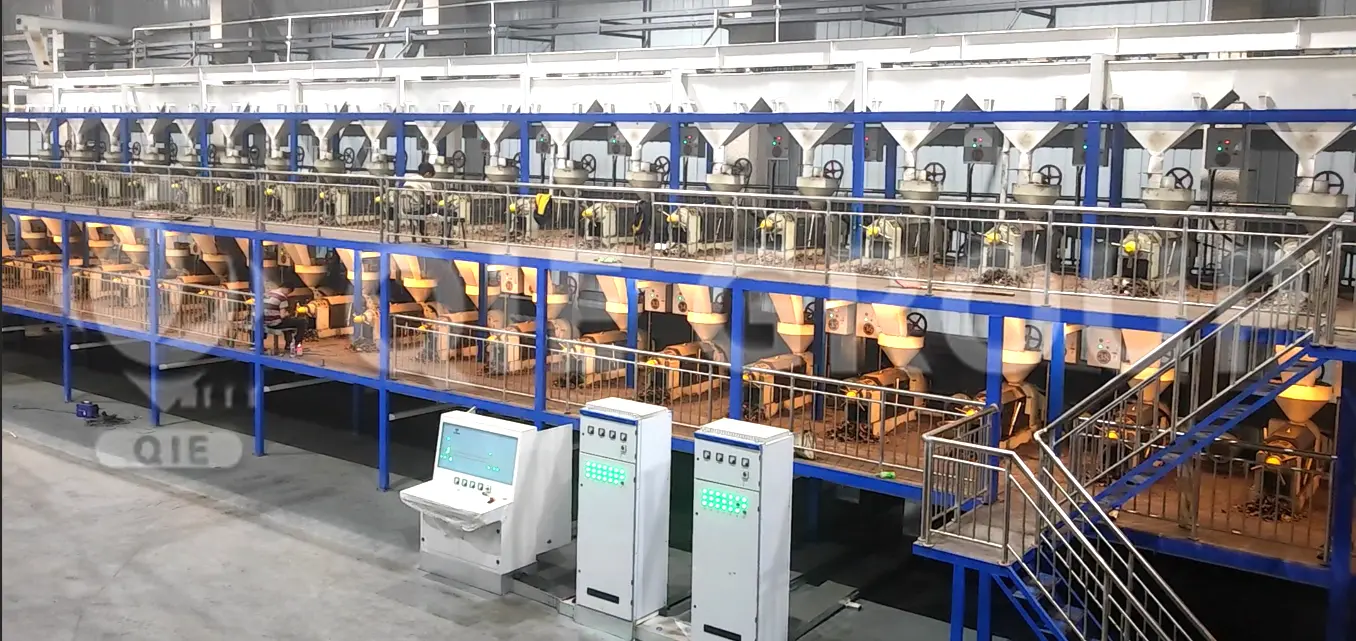 Edible oil pressing workshop with modern hydraulic and screw oil press machines for vegetable and nut oils