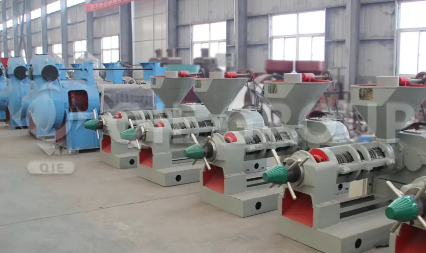 QIE Group edible oil pressing workshop with modern screw presses