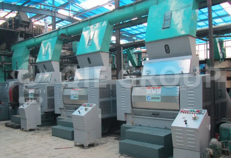 Soybean flaking machine for oilseed pretreatment, improving permeability and extraction efficiency in soybean solvent extraction plants, QIE GROUP equipment.