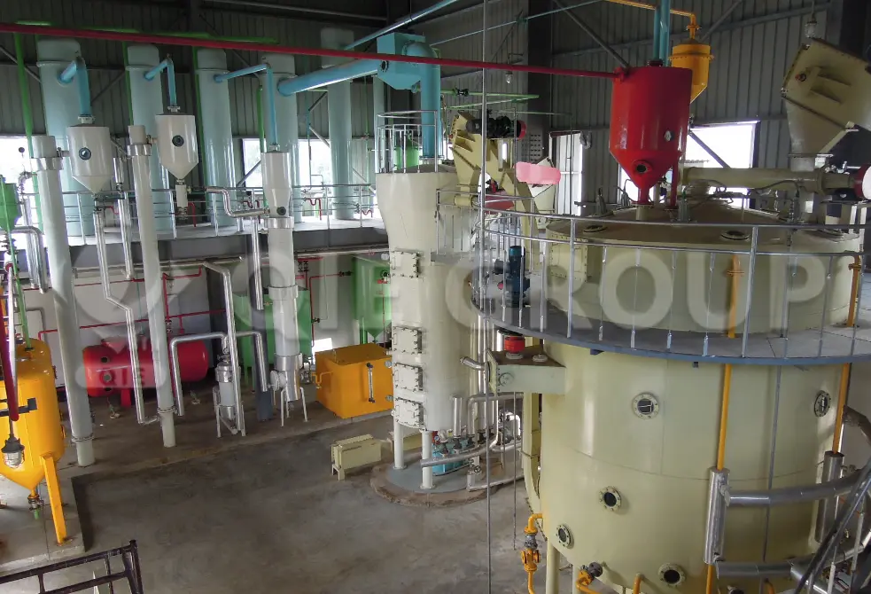 Avocado pomace solvent extraction workshop equipment for industrial avocado oil recovery