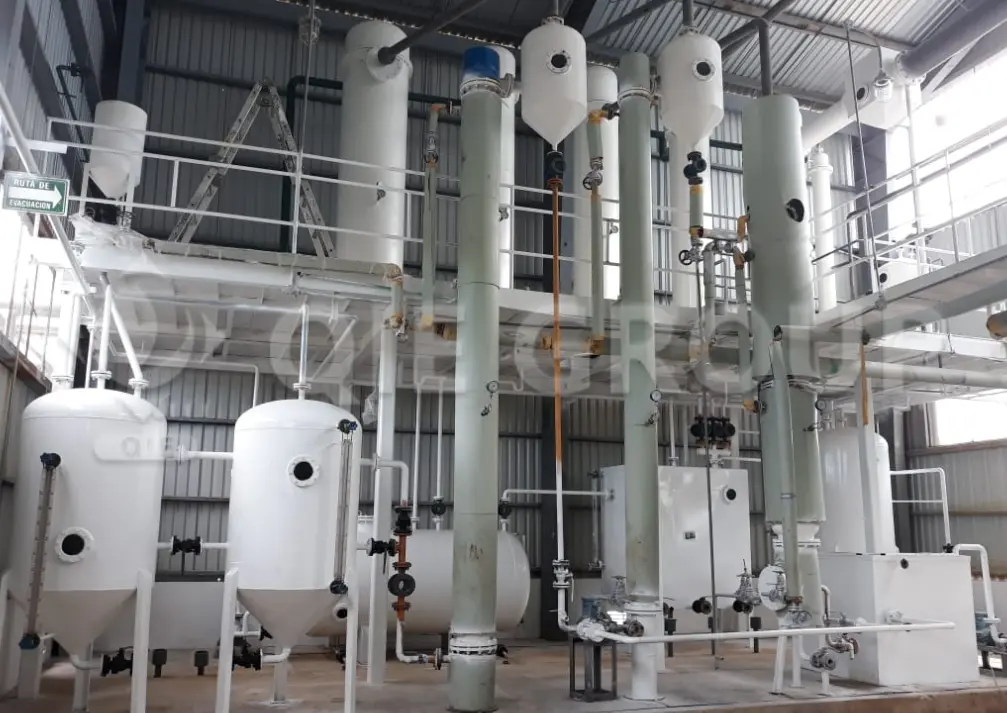 Solvent extraction workshop integrating oilseed extraction, solvent recovery, and meal separation for higher yield and safety