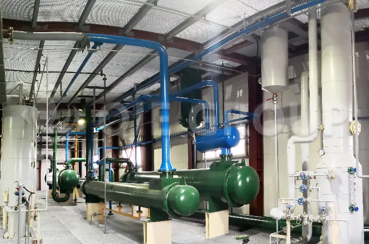 Olive pomace extraction equipment for edible oil processing