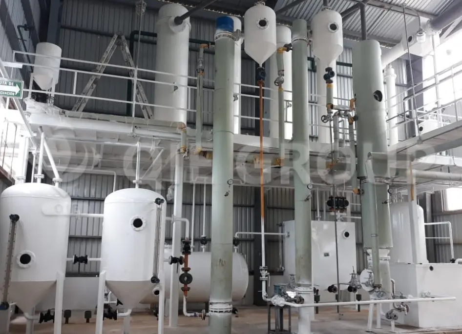 Olive pomace extraction workshop with complete equipment layout