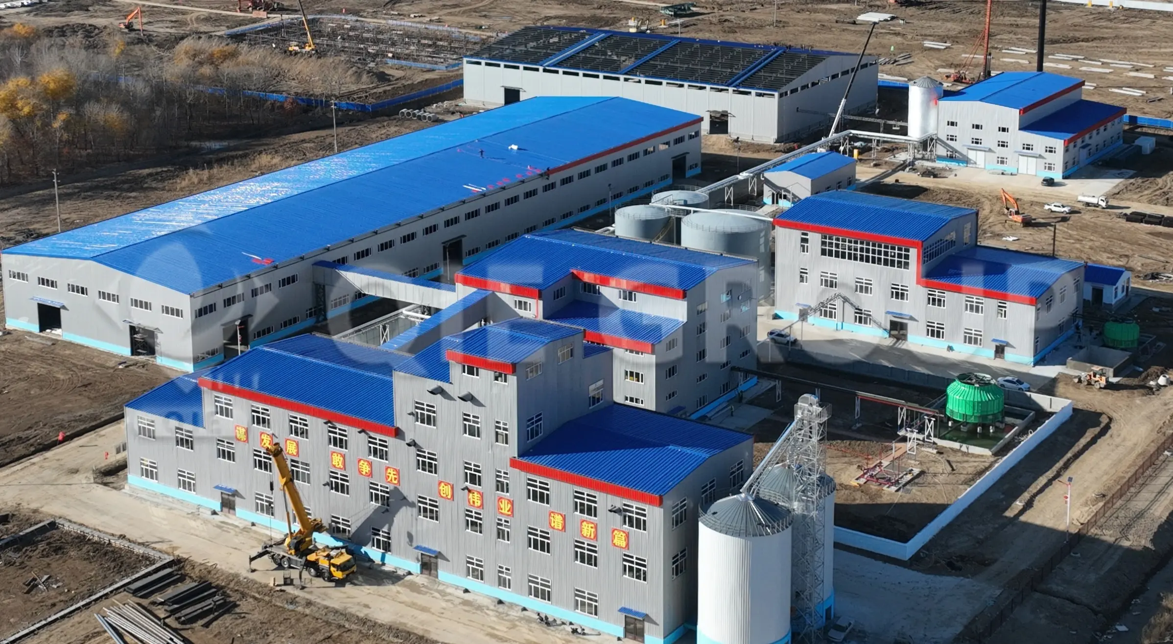 Turnkey soybean oil processing plant for large-scale edible oil production