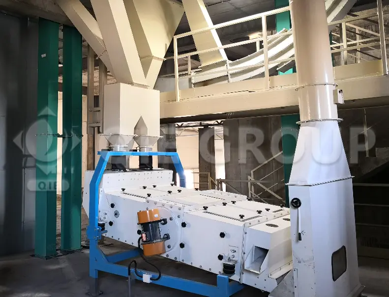 Corn germ cleaning sieve for removing impurities before oil extraction