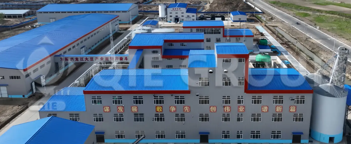 Overview of an edible oil processing plant with integrated oil extraction and refining facilities