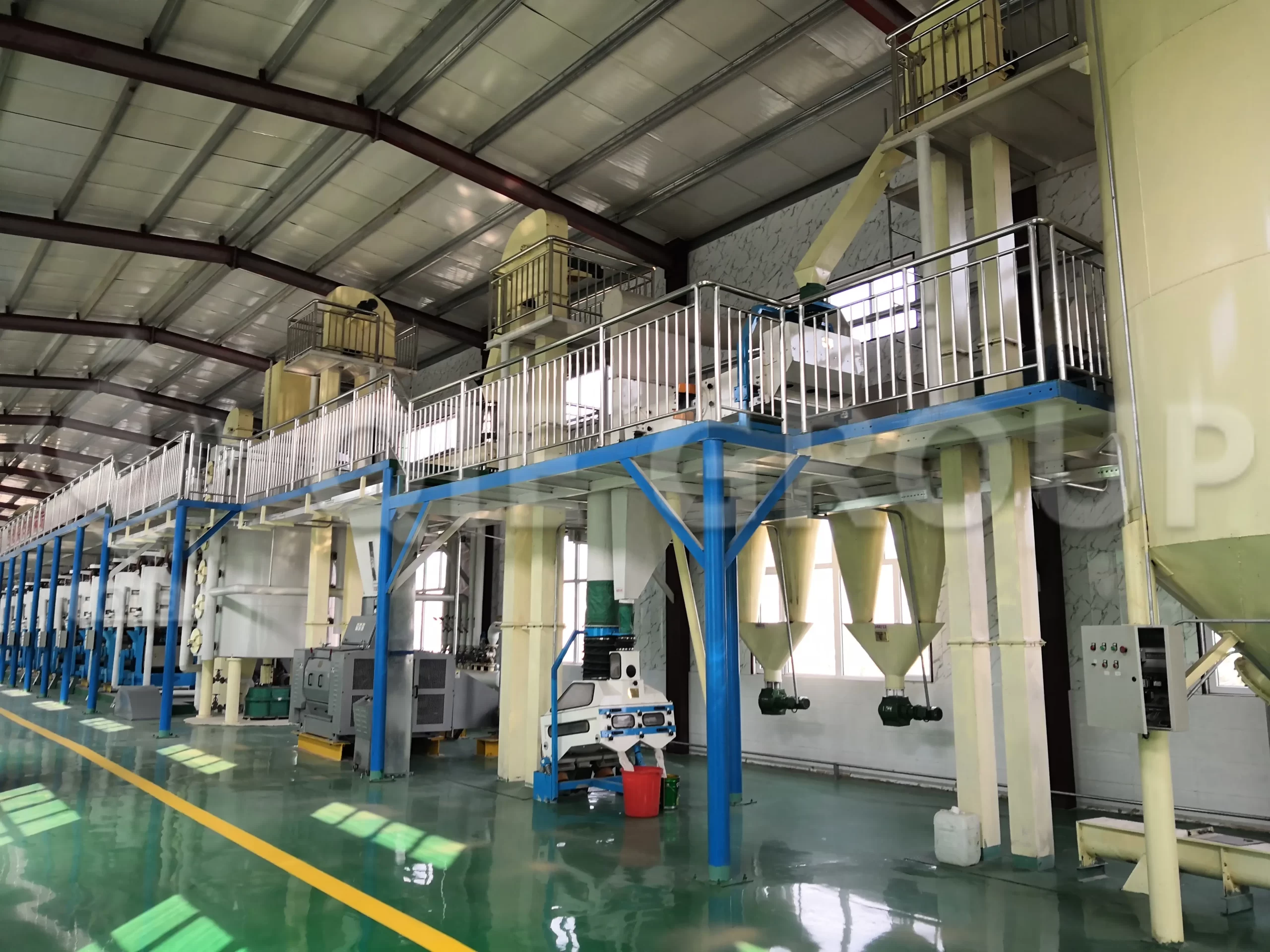 shea butter processing pretreatment workshop with cleaning, crushing and conditioning equipment