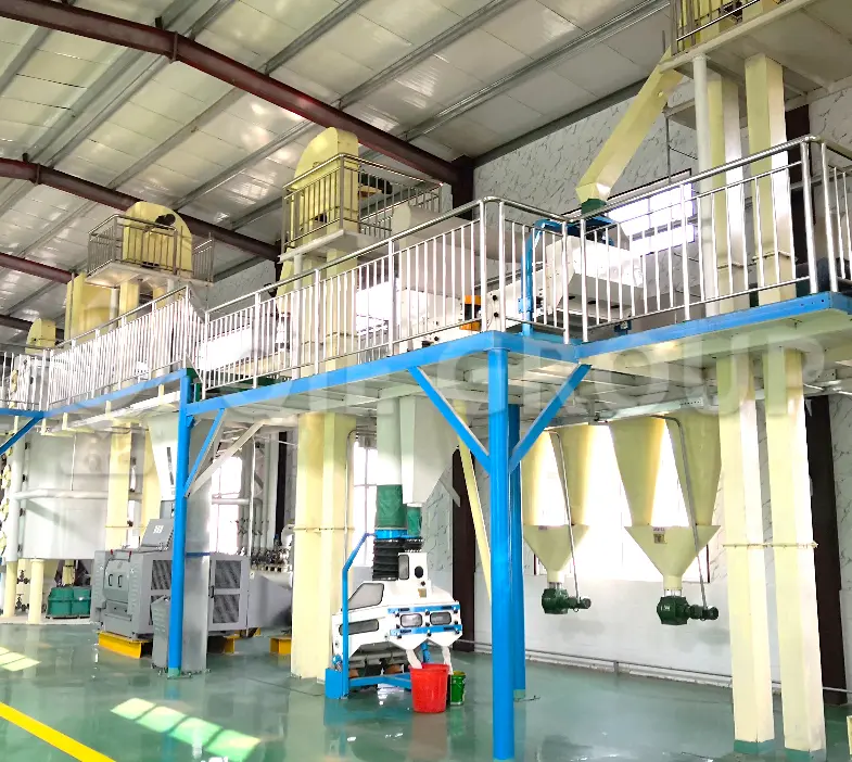 Shea nut pretreatment workshop including cleaning, drying and conditioning systems for shea butter processing