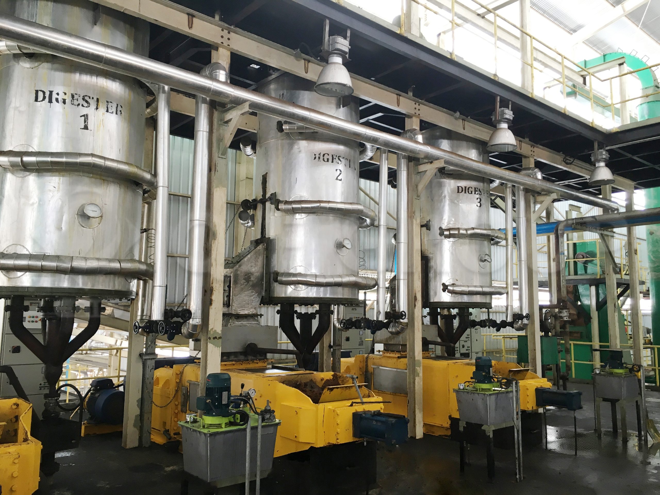 Customized palm oil production line with intelligent automation and energy-saving biomass integration solutions