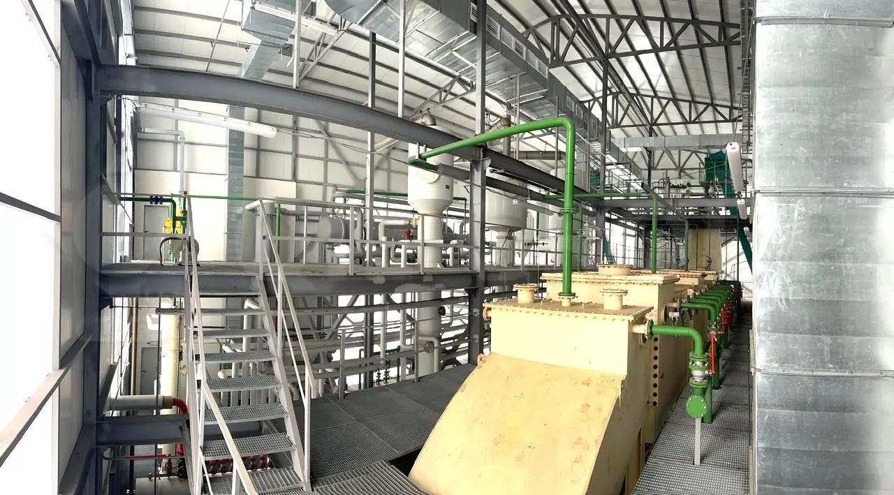 Sunflower oil extraction workshop with industrial solvent extraction equipment