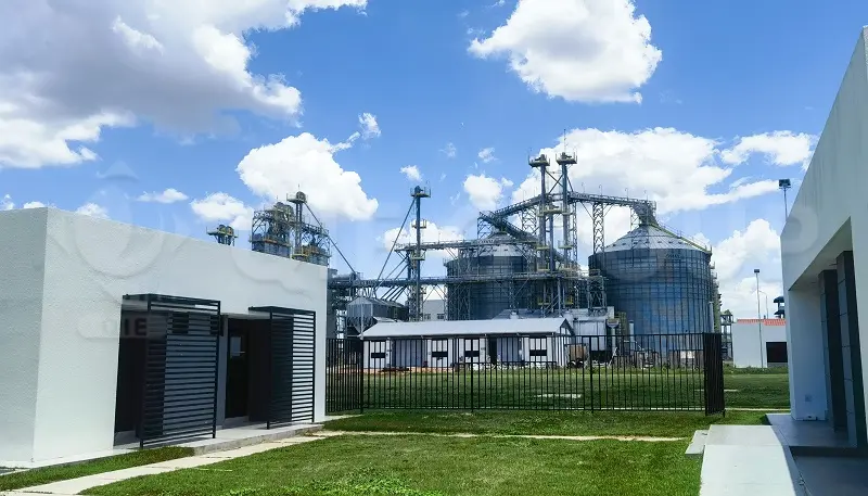 Edible oil processing plant EPC project with integrated oilseed crushing and refining system by QIE GROUP