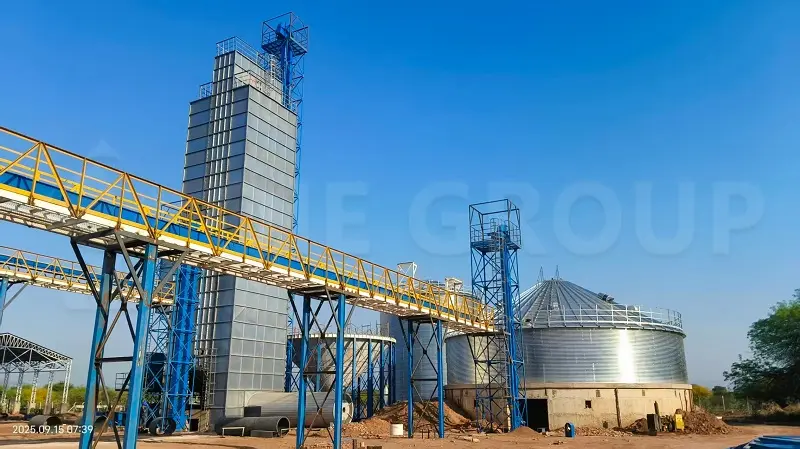 Complete Soybean Oil Processing Plant System: Encompassing the full production workflow, including pretreatment, pressing, solvent extraction, and refining processes.