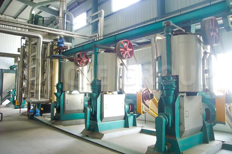 Edible oil pressing equipment engineered for high oil yield and stable operation in industrial oil processing plants