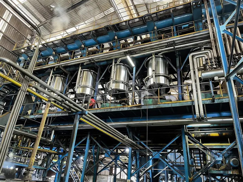 Complete edible oil processing machinery for efficient oil extraction and refining